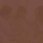 Adult ADHD: Recognize the Signs, Get the Right Diagnosis, Find Treatment That Works